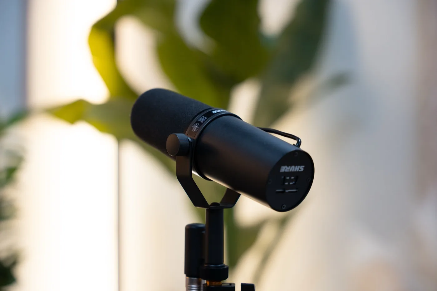 A Shure SM7B microphone on its stand in The little one